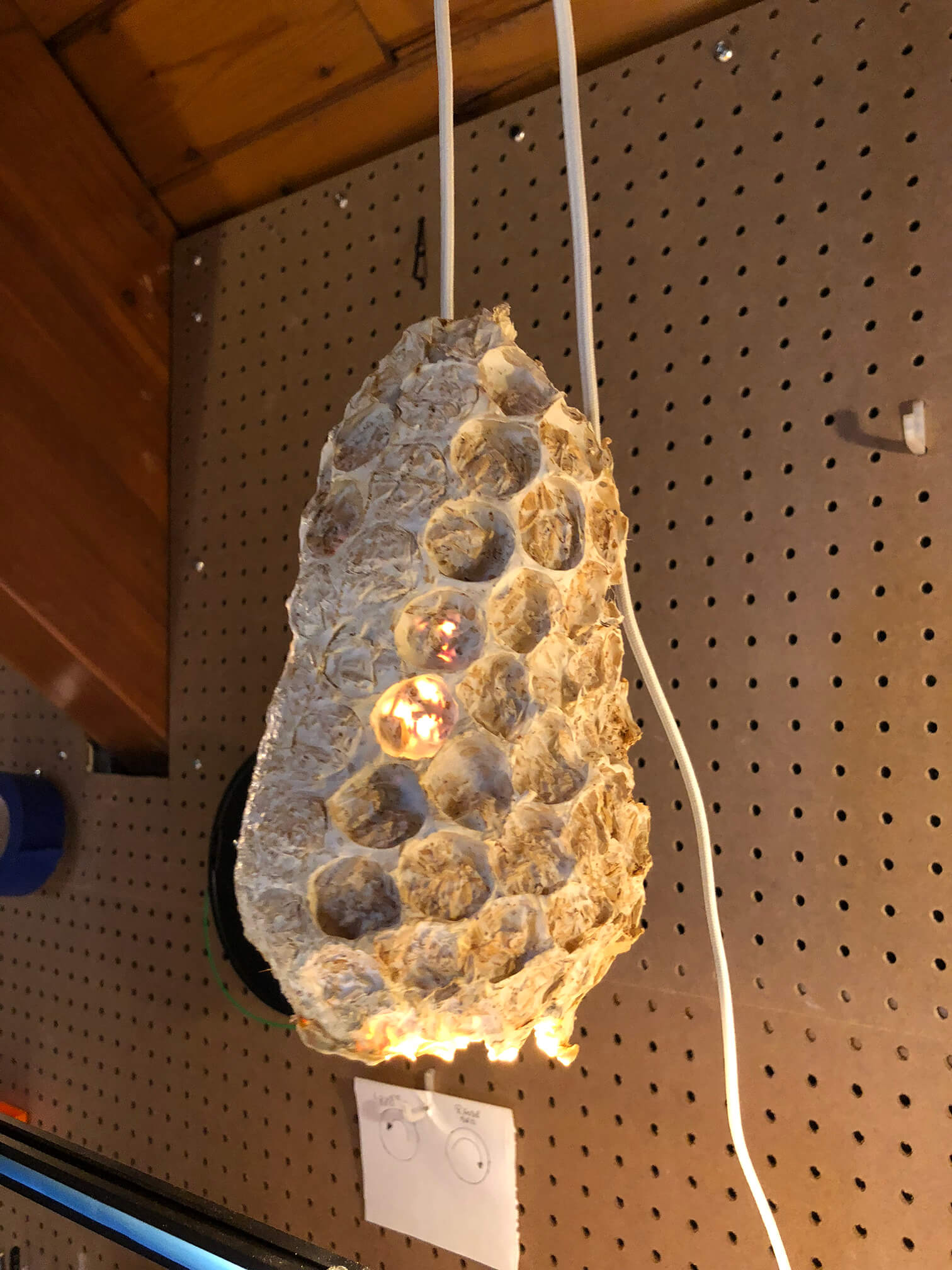 Mycelium lampshades installed